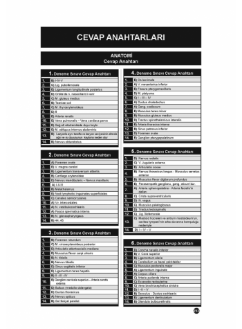 41 DENEME SINAVLARI SERİSİ ( 1.Cilt )