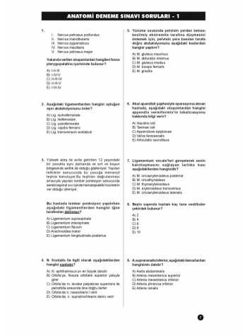 41 DENEME SINAVLARI SERİSİ ( 1.Cilt )