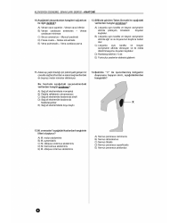 41 DENEME SINAVLARI SERİSİ ( 1.Cilt )