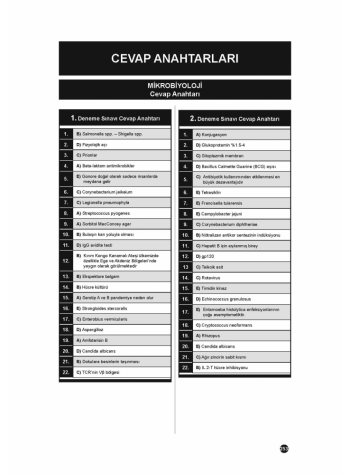 41 DENEME SINAVLARI SERİSİ ( 2.Cilt )