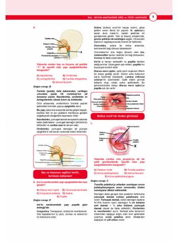 DUS Akademi Soru ( 2.Baskı ) ANATOMİ