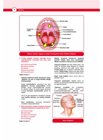 DUS Akademi Soru ( 2.Baskı ) ANATOMİ