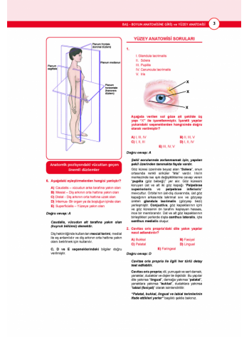 DUS Akademi Soru ( 2.Baskı ) ANATOMİ