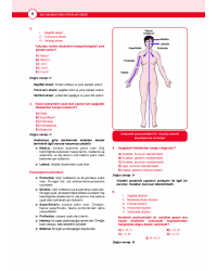 DUS Akademi Soru ( 3.Baskı ) Anatomi