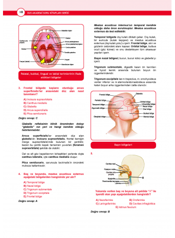 DUS Akademi Soru ( 3.Baskı ) Anatomi