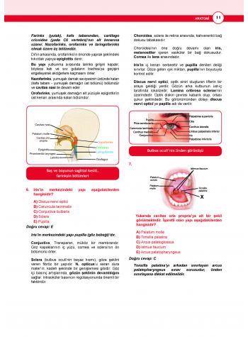 DUS Akademi Soru ( 3.Baskı ) Anatomi