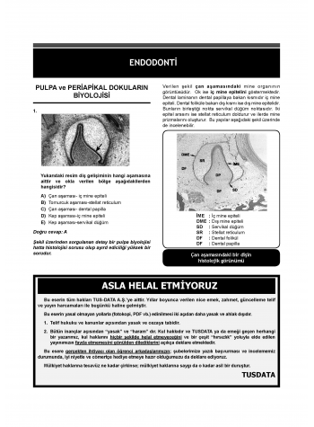 DUS Akademi Soru ( 3.Baskı ) Endodonti