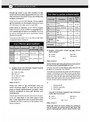 DUS Akademi Soru ( 3.Baskı ) Endodonti