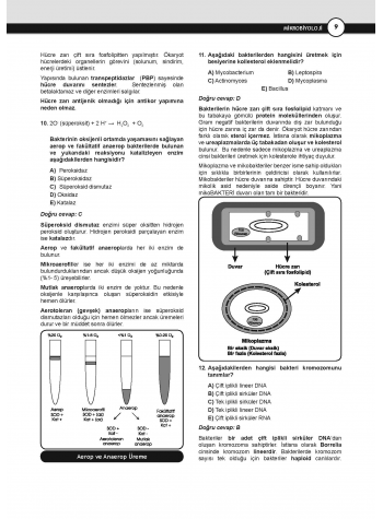 DUS Akademi Soru ( 3.Baskı ) Mikrobiyoloji