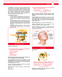 DUS Akademi Soru ( 4.Baskı ) Anatomi