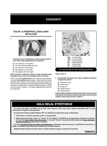 DUS Akademi Soru ( 4.Baskı ) Endodonti