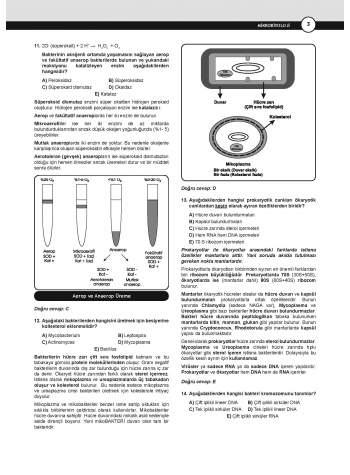 DUS Akademi Soru ( 4.Baskı ) Mikrobiyoloji