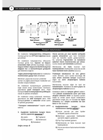 DUS Akademi Tıbbi Biyoloji ve Genetik Soruları