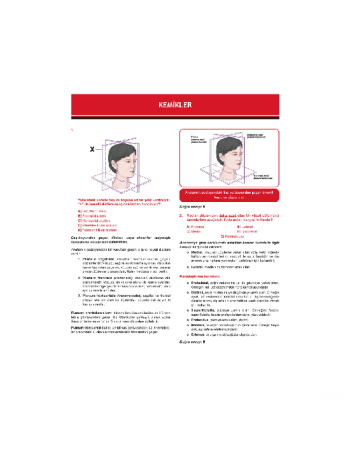Dusdatamax Anatomi Soruları ( 7.Baskı )