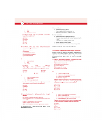 Dusdatamax Anatomi Soruları ( 7.Baskı )