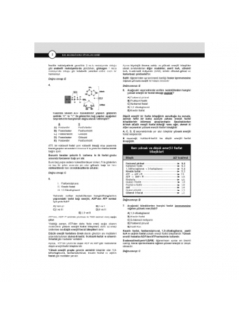 Dusdatamax Biyokimya Soruları ( 5.Baskı ) Dusdatamax Biyokimya Soruları ( 5.Baskı )