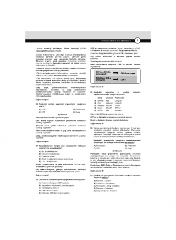 Dusdatamax Fizyoloji Soruları ( 7.Baskı )
