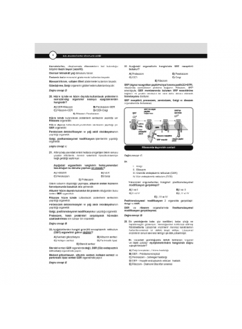 Dusdatamax Fizyoloji Soruları ( 7.Baskı )