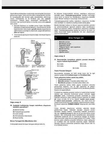 Dusdatamax Ortodonti Soruları ( 7.Baskı )