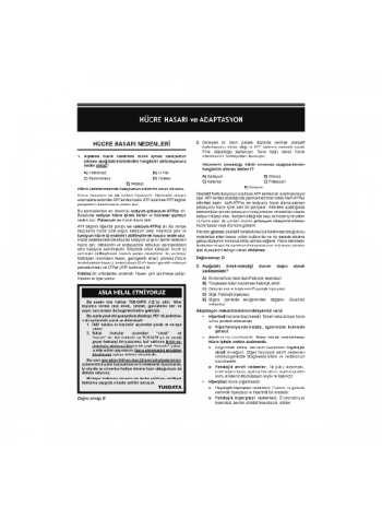 Dusdatamax Patoloji Soruları ( 7.Baskı )