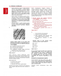 Tüm Dus Soruları 1+2 ( 2.Cilt ) Klinik Bilimler - 1