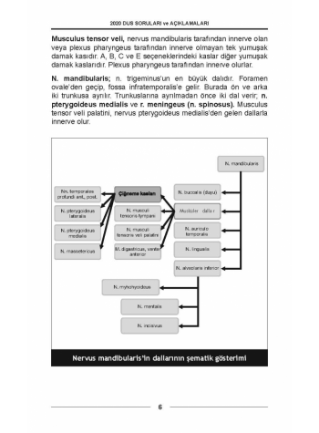 DUS SORULARI - ÖSYM'nin Orijinal 2020 DUS SORULARI - ÖSYM'nin Orijinal 2020