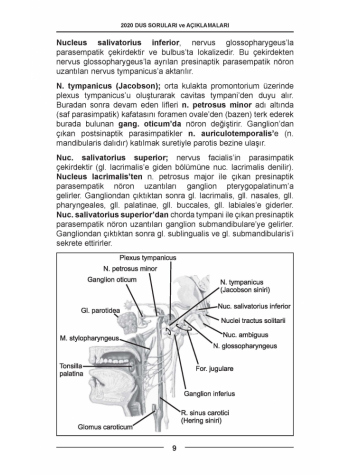 DUS SORULARI - ÖSYM'nin Orijinal 2020 DUS SORULARI - ÖSYM'nin Orijinal 2020