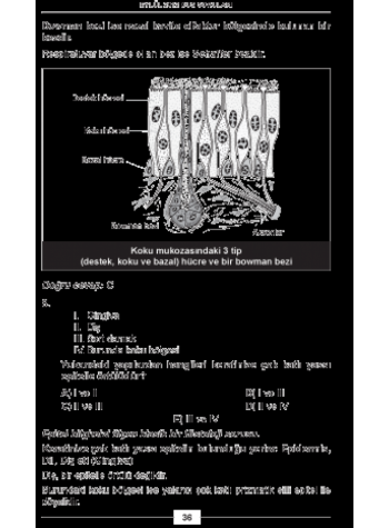 EYLÜL 2012 DUS SORULARI ve Detaylı Açıklamaları EYLÜL 2012 DUS SORULARI ve Detaylı Açıklamaları