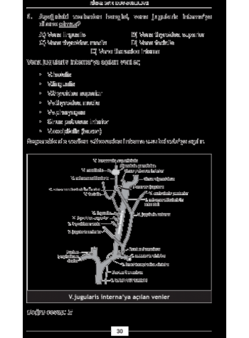 NİSAN 2013 DUS SORULARI ve Detaylı Açıklamaları NİSAN 2013 DUS SORULARI ve Detaylı Açıklamaları