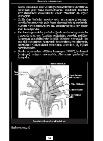 NİSAN 2013 DUS SORULARI ve Detaylı Açıklamaları NİSAN 2013 DUS SORULARI ve Detaylı Açıklamaları