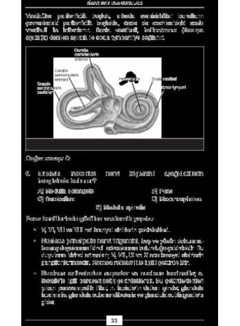 NİSAN 2013 DUS SORULARI ve Detaylı Açıklamaları NİSAN 2013 DUS SORULARI ve Detaylı Açıklamaları