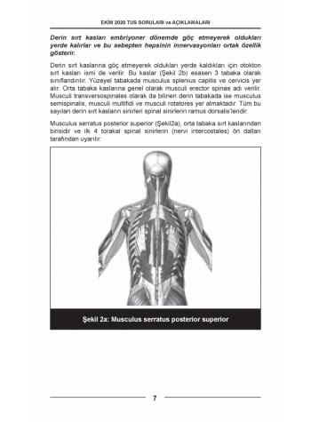 EKİM 2020 ÖSYM'nin Orijinal TUS SORULARI EKİM 2020 ÖSYM'nin Orijinal TUS SORULARI