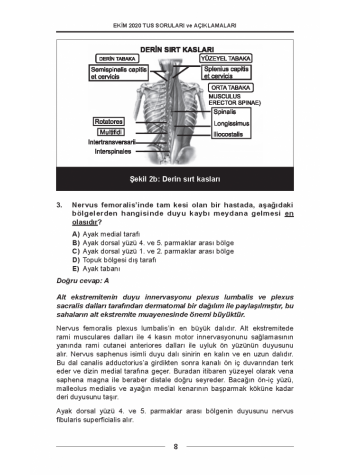 EKİM 2020 ÖSYM'nin Orijinal TUS SORULARI EKİM 2020 ÖSYM'nin Orijinal TUS SORULARI