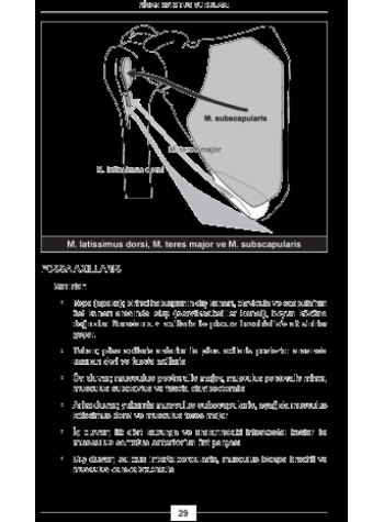 Nisan 2012 TUS Soruları ve Detaylı Açıklamaları