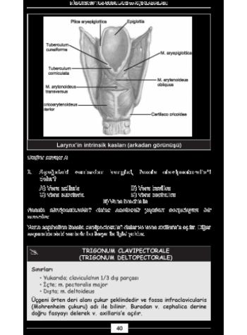 Nisan 2013 TUS Soruları ve Detaylı Açıklamaları