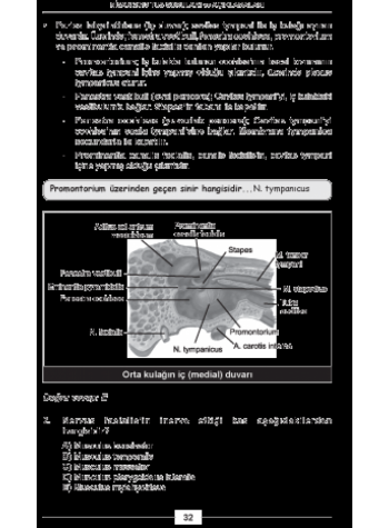 Nisan 2013 TUS Soruları ve Detaylı Açıklamaları