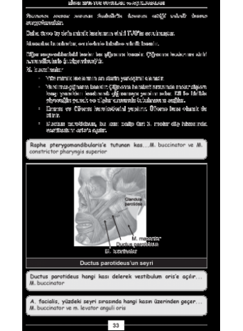 Nisan 2013 TUS Soruları ve Detaylı Açıklamaları Nisan 2013 TUS Soruları ve Detaylı Açıklamaları