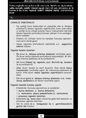 Nisan 2013 TUS Soruları ve Detaylı Açıklamaları Nisan 2013 TUS Soruları ve Detaylı Açıklamaları