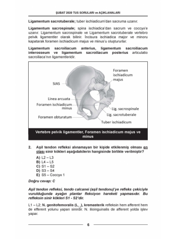 ŞUBAT 2020 ÖSYM'nin Orjinal TUS SORULARI