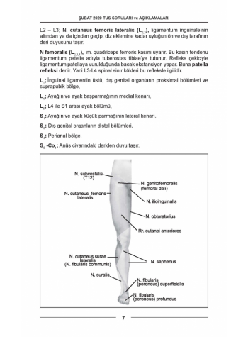 ŞUBAT 2020 ÖSYM'nin Orjinal TUS SORULARI ŞUBAT 2020 ÖSYM'nin Orjinal TUS SORULARI