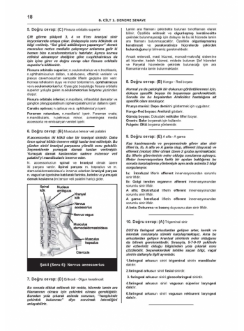 DENTTEST DUS İÇİN AÇIKLAMALI 12 DNM.SNV ( 8.Cilt )