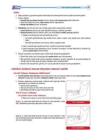 DUS Şampiyonların Notu - Ağız Cerrahisi ( 2025 )