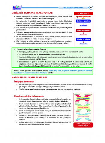 DUS Şampiyonların Notu - Biyokimya ( 2025 )