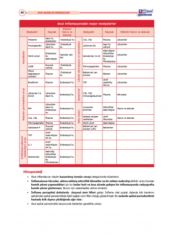DUS Şampiyonların Notu - Endodonti ( 2025 )