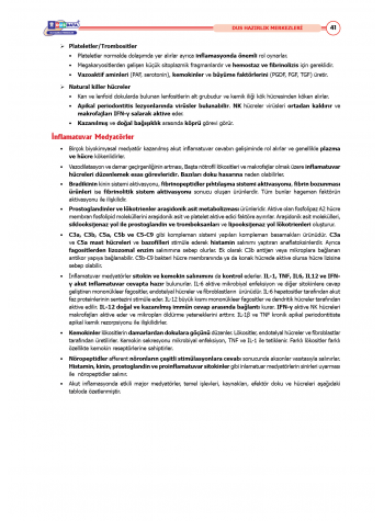 DUS Şampiyonların Notu - Endodonti ( 2025 )