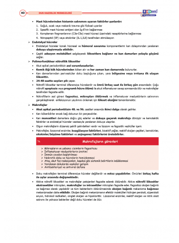 DUS Şampiyonların Notu - Endodonti ( 2025 )