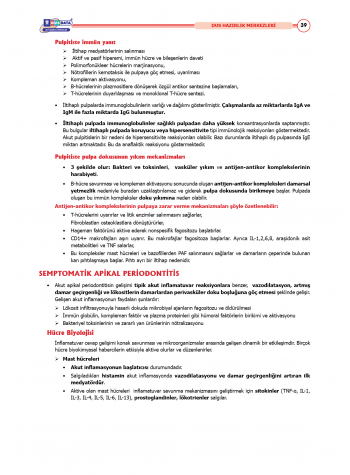 DUS Şampiyonların Notu - Endodonti ( 2025 )