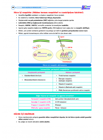 DUS Şampiyonların Notu - Farmakoloji ( 2025 )