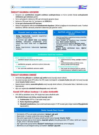 DUS Şampiyonların Notu - Fizyoloji ( 2025 )
