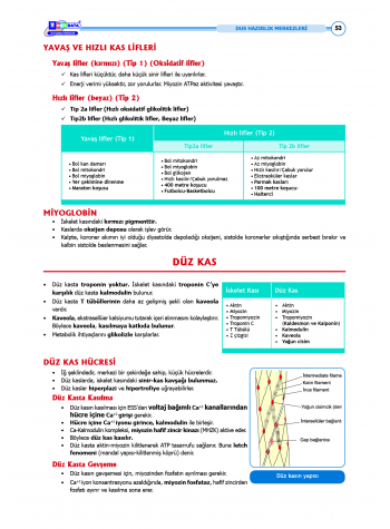 DUS Şampiyonların Notu - Fizyoloji ( 2025 )